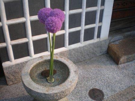Voyage au Japon, cours d'arrangement floral japonais
