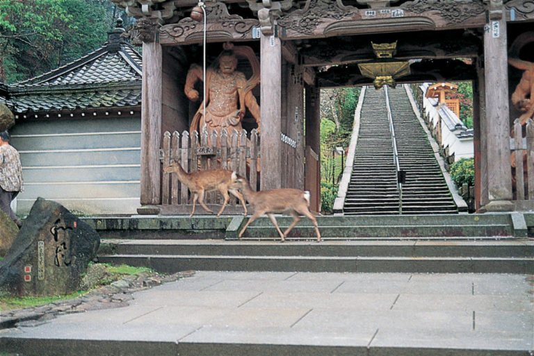 Temple-Daishoin-escalier-statue-miyajima-hiroshima-japon-séjour-circuit-voyage