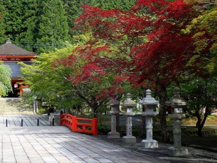 sejour-voyage-circuit-japon-retraite-monastique-koyasan-temple-moine