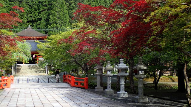 sejour-voyage-circuit-japon-retraite-monastique-koyasan-temple-moine